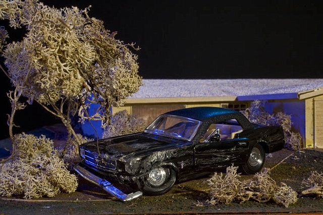 The Mustang Incident, 2000
