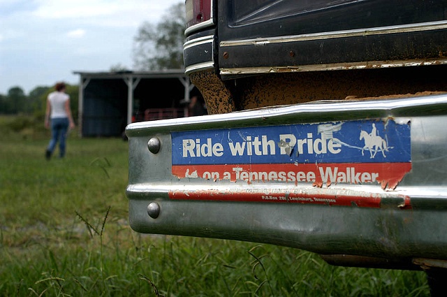 Shelbyville, 2006