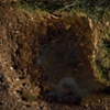 The Water Hole, AKA Deep Creek, 1994-2001