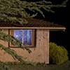 Tree on Roof, Major Damage, 1986