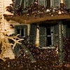 Christmas Flood, 2003 #1