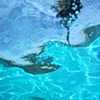 Untitled #22