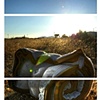 Rolled Bedding, Industrial PKWY