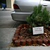 San Francisco, 2008