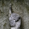 Boston, John Handcock, 2006