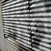 Sacramento, 2007