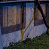 Tree on Roof, Minor Damage, 1985