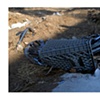 Shopping Cart in Flood Control