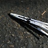San Berdu Pen