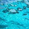 Untitled #4