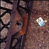 trash or treasure