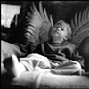 with wings