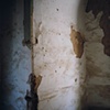 Walls