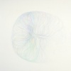 Ellipsis