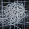 Bound Variable