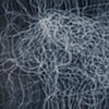 Neural Nets