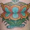 Lotus