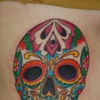 SUGAR/SKULL