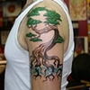Bonsai