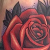 Rose Cover-Up