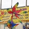 Kite Shop, Huntington Beach Pier
