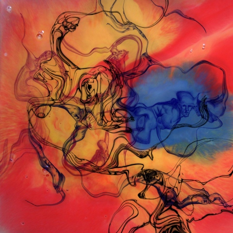Fluid 1.0