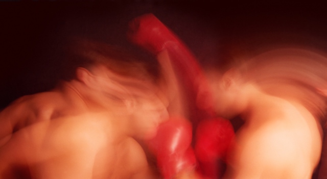 Everlast (detail)