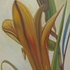 Immersion Series