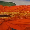 Extended Garden Series