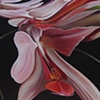 Orchid 3