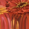 Flowerfall l
