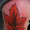 Red Leaf