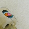 Hadron detail