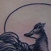 god is a fox