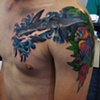 Parrot and Shark 1