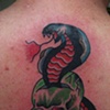 snake and skull