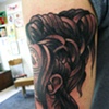 Robins Head 1