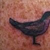Tiny Bird