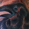 Crow 2