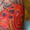 Koi 3