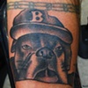 Dog Portrait 2
