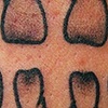 Teeth