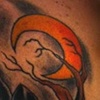Crow 1
