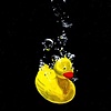 Drowning Duckie