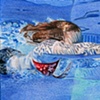 Diver