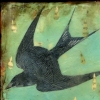 Tempest