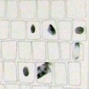 i was there (detail)
