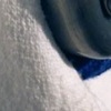 wrong side (detail)