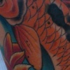 Koi