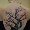 Blossom Tree